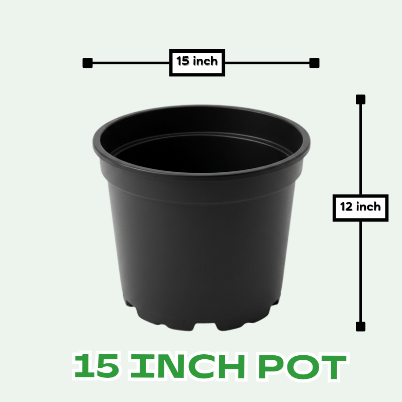 Buy Plastic Pots for Plants , 4 inch, 8 inch, 10 inch, 12 inch, 21 inch