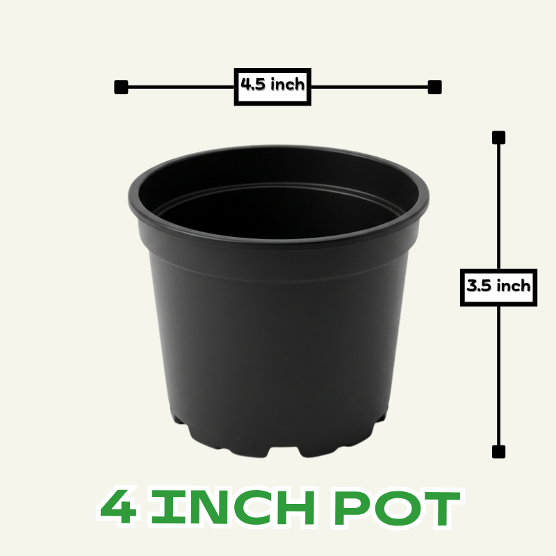 4 inch kiyari plastic pots for plants