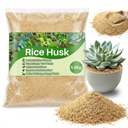 Buy Rice husk For plants , Rice Hulls For Plants | best Growing Aeration For Mini Plants
