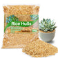 Buy Rice husk For plants , Rice Hulls For Plants | best Growing Aeration For Mini Plants