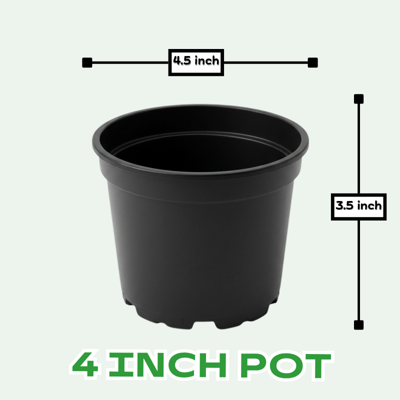Buy Plastic Pots for Plants , 4 inch, 8 inch, 10 inch, 12 inch, 21 inch