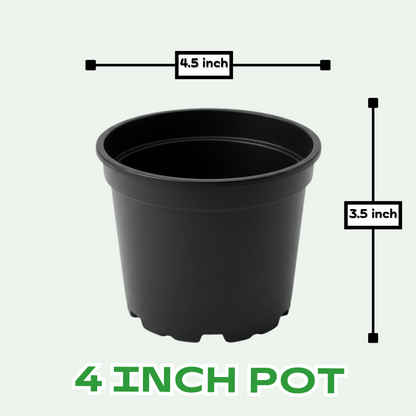 Buy Plastic Pots for Plants , 4 inch, 8 inch, 10 inch, 12 inch, 21 inch