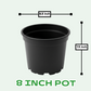 Buy Plastic Pots for Plants , 4 inch, 8 inch, 10 inch, 12 inch, 21 inch