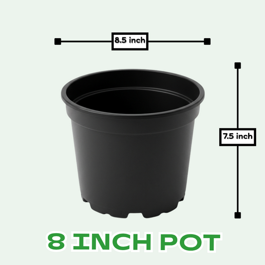 8 inch kiyari plastic pots for plants
