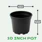 Buy Plastic Pots for Plants , 4 inch, 8 inch, 10 inch, 12 inch, 21 inch