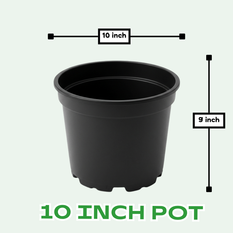 Buy Plastic Pots for Plants , 4 inch, 8 inch, 10 inch, 12 inch, 21 inch