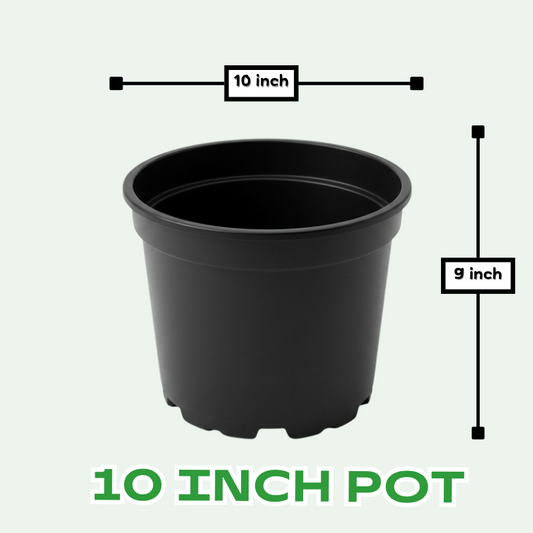 Buy Plastic Pots for Plants , 4 inch, 8 inch, 10 inch, 12 inch, 21 inch