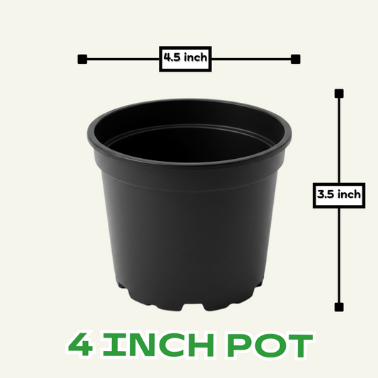 4 inch kiyari plastic pots for plants