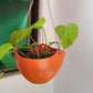 30 inch plastic hanging planter for plants with 3 side chain , hanging pot for plants
