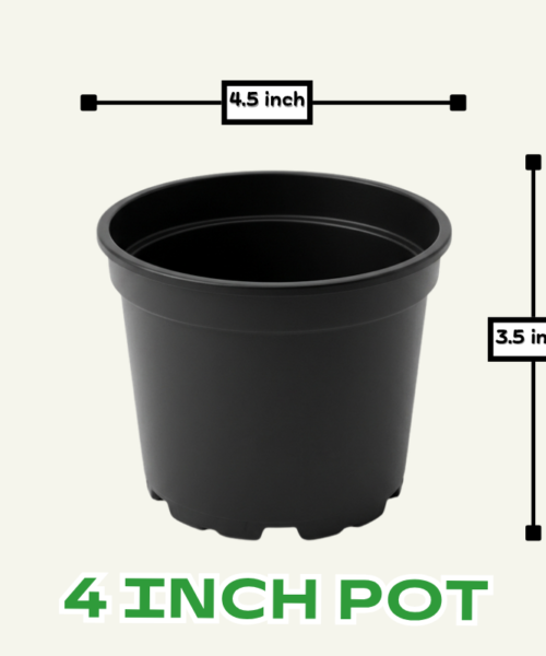 4 inch plastic pot for seedlings, paneri bowing etc | 4 by 4 inch pots for gardening
