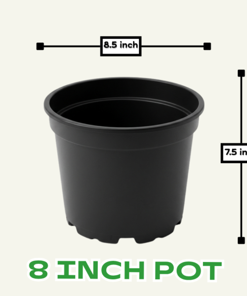 8 inch plastic pot for small plants, indoor gardening etc | 8.5 by 7 inch medium pots for gardening