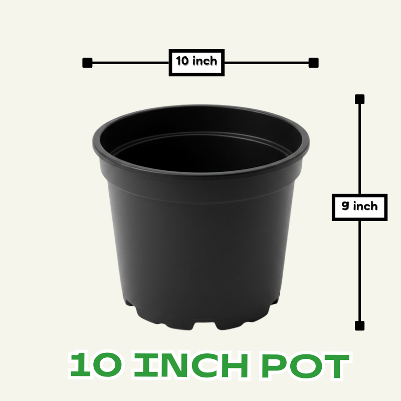 10 inch plastic pot for shrubs and large plants | 10 by 9 inch large pots for gardening