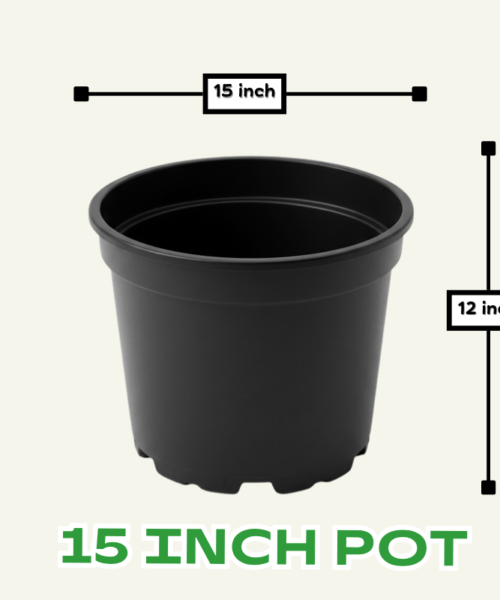 15 inch plastic pot for fruit plants and trees | 15 by 12 inch extra-large pots for gardening
